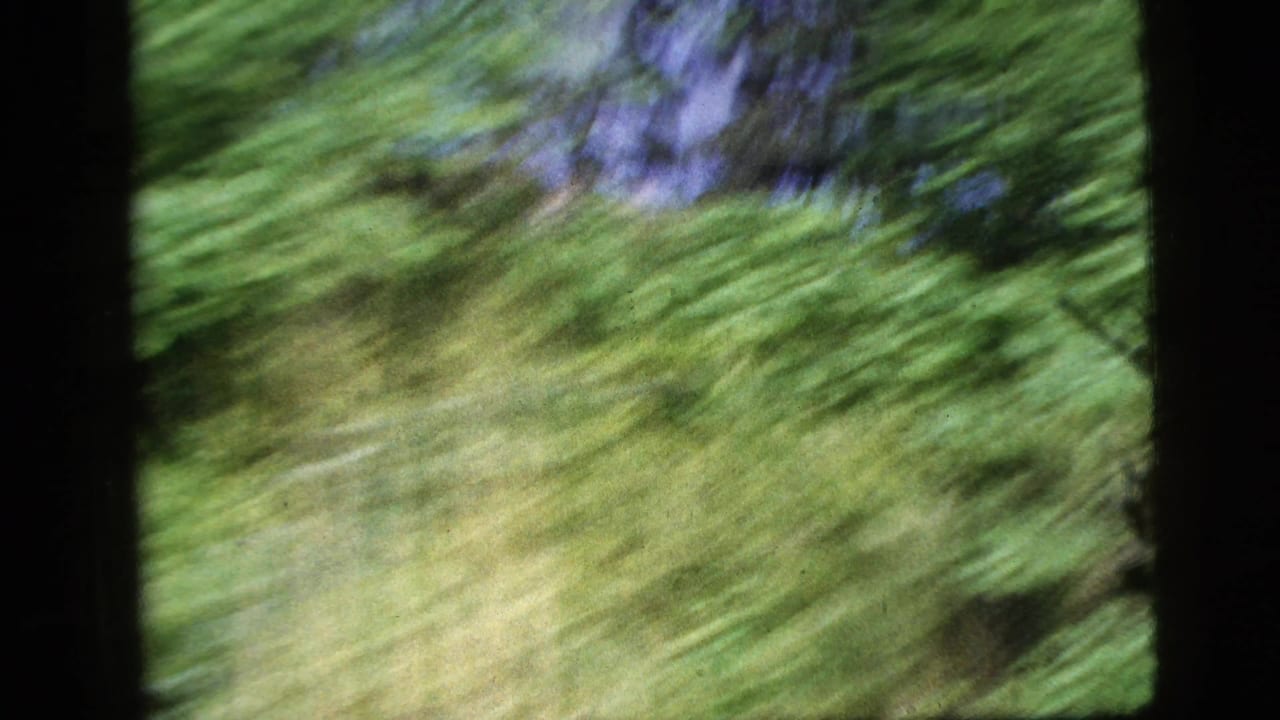 Blurred green hillside or trees seen through a dark window opening.