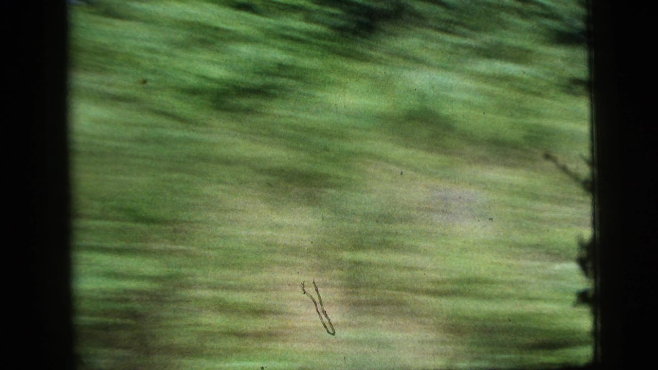 1956 home-movie frame showing green trees and brush streaking past from a moving vehicle viewpoint.