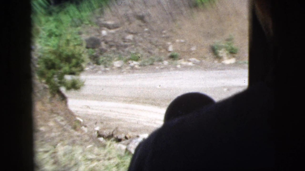 View from inside a moving vehicle toward a pale dirt road, rocky shoulder, brush, and dark interior silhouette.