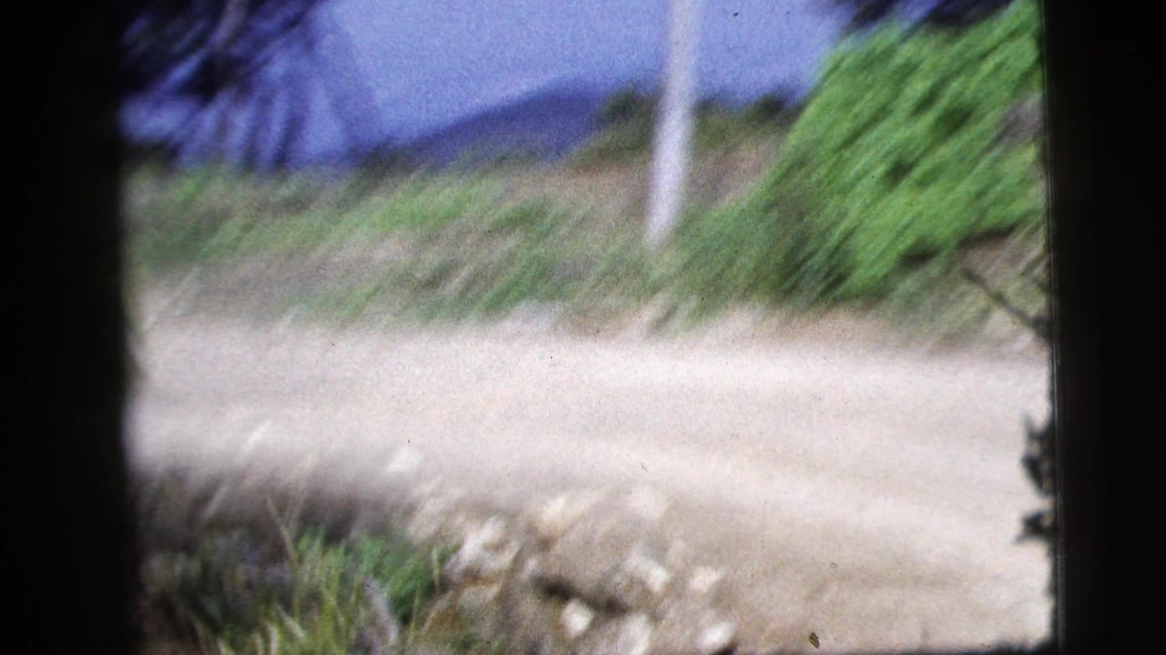 Blurred roadside dirt road with green brush, trees, and dark film-frame edges.