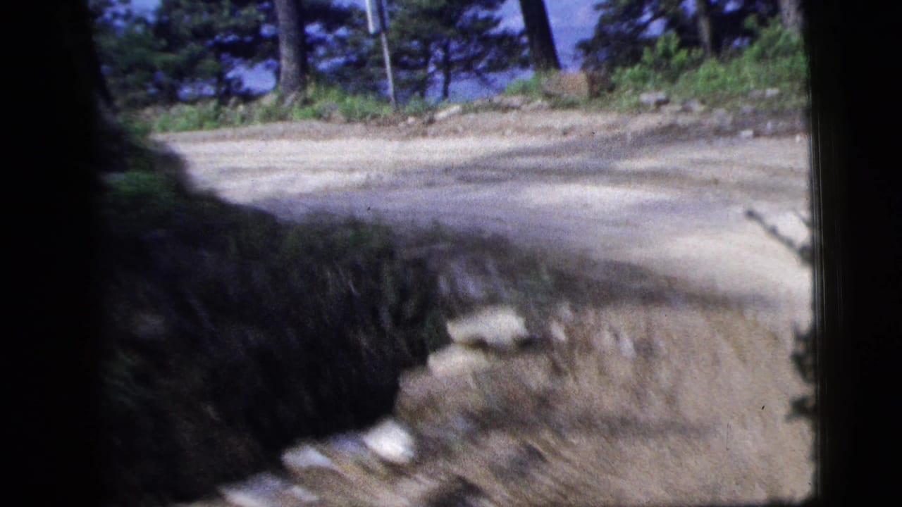 Curving dirt road beside trees and a shadowed roadside ditch.