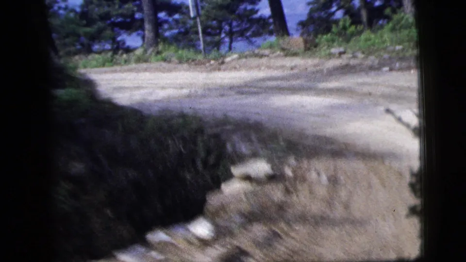 Bumpy 1956 8mm view of a sunlit dirt road curving past trees, rough ground, and possible water or sky beyond.