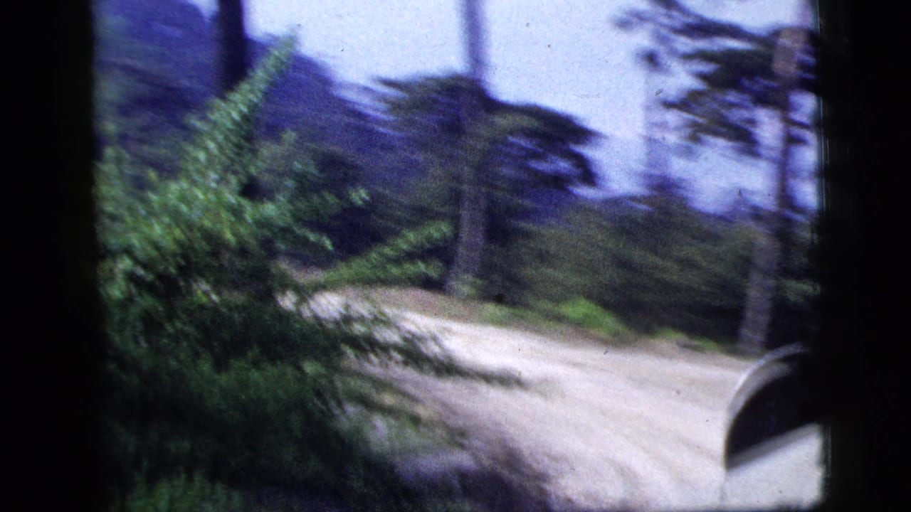 1956 8mm frame with trees, dense brush, a pale dirt road, and a dark vehicle or frame edge at lower right.