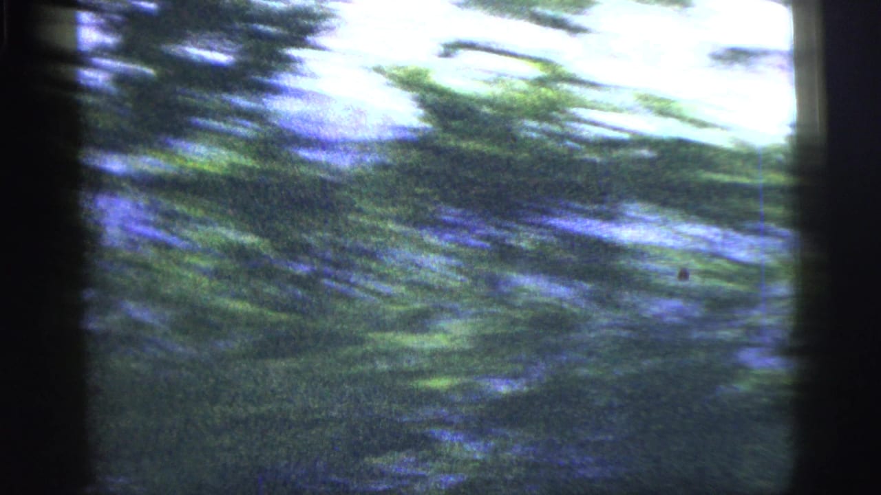 Bumpy 1956 8mm view of passing green foliage and blue-toned background, mostly obscured by motion blur and frame edges.
