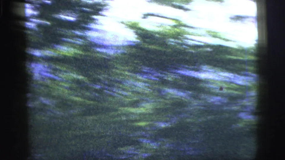 Bumpy 1956 8mm view of passing green foliage and blue-toned background, mostly obscured by motion blur and frame edges.