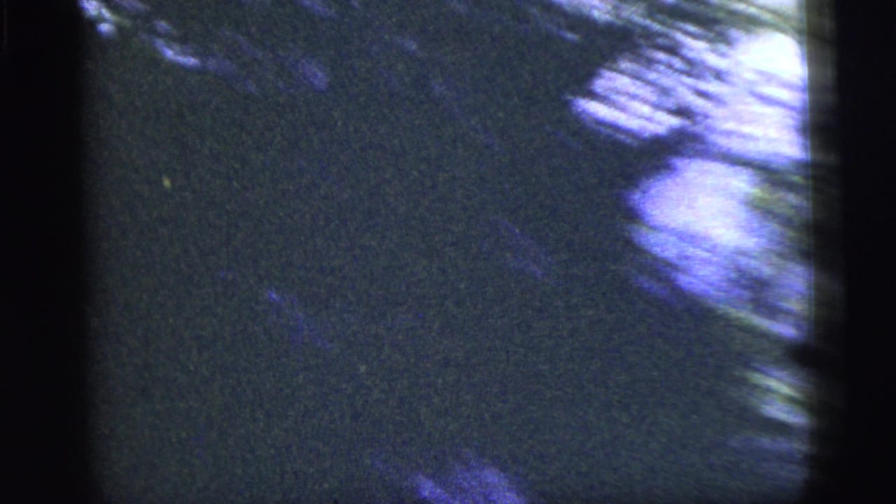 1956 8mm home-movie frame from inside a moving vehicle, showing blurred green woodland through dark window bars.