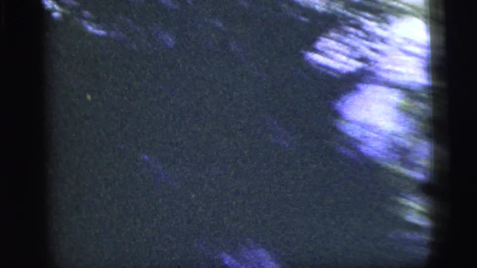 1956 8mm home-movie frame from inside a moving vehicle, showing blurred green woodland through dark window bars.