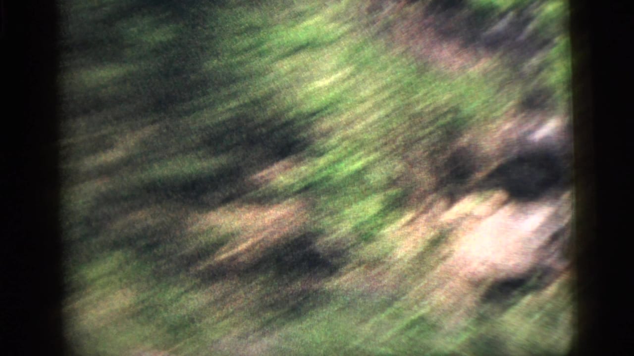 Motion-blurred green foliage and pale ground seen past a dark window edge.