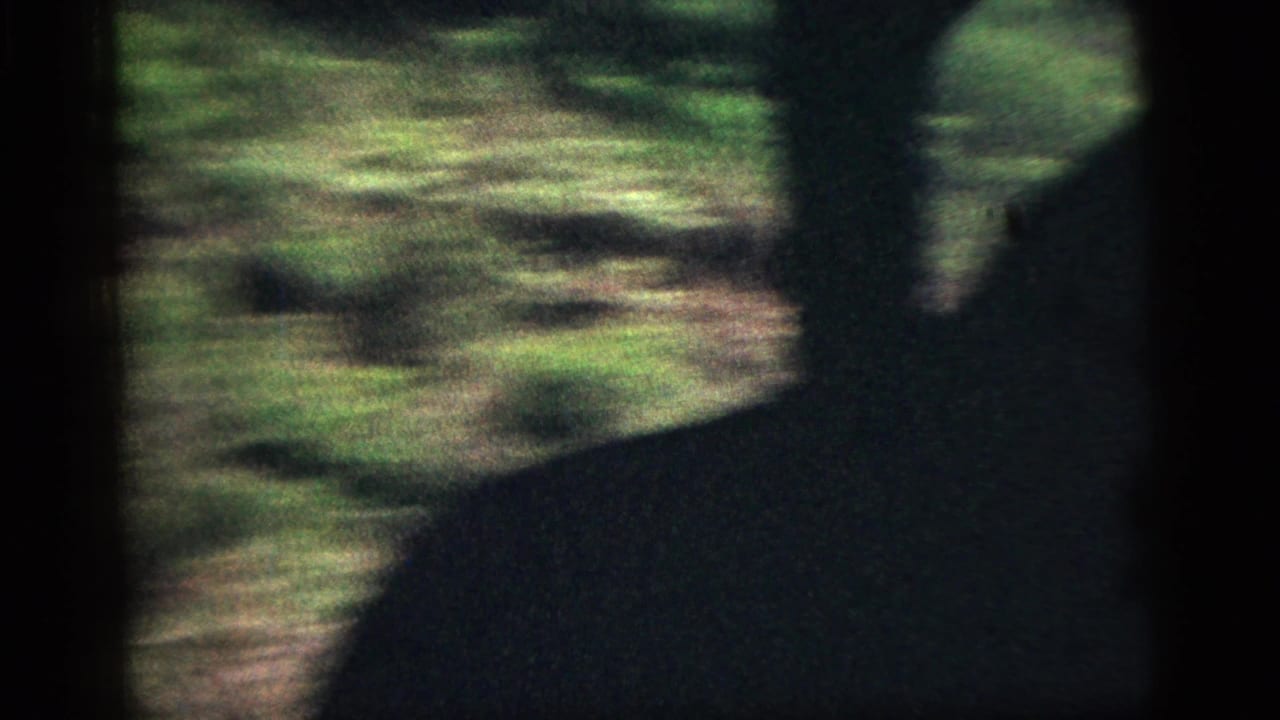Dark interior silhouette and window frame obscure part of a blurred 1956 woodland view from a moving vehicle.