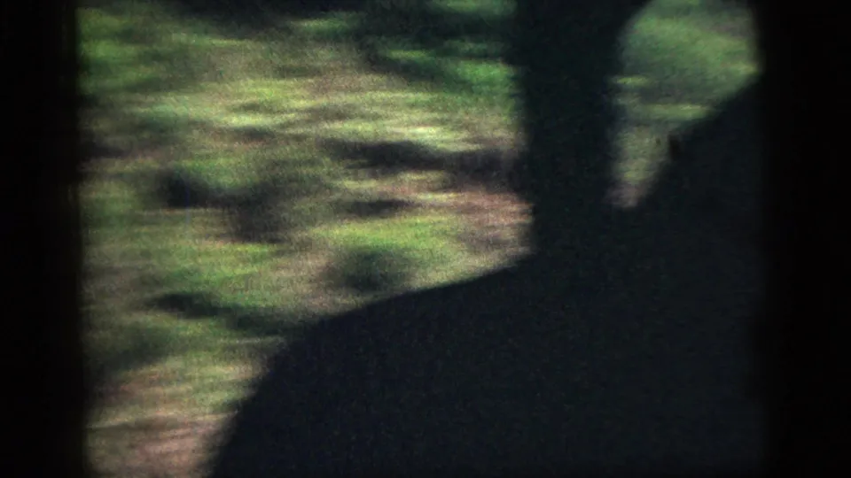 Dark interior silhouette and window frame obscure part of a blurred 1956 woodland view from a moving vehicle.