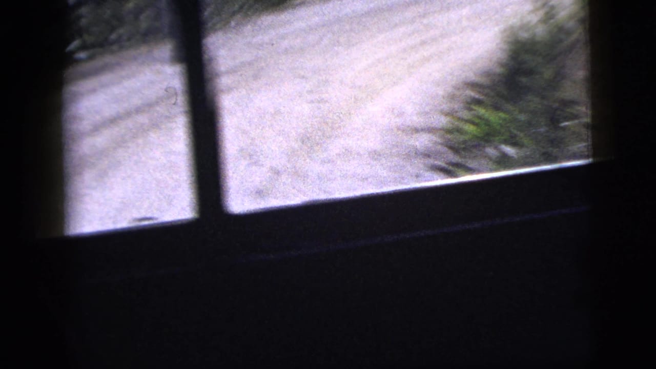 Dark vehicle interior looking through side windows toward a pale road and roadside greenery.
