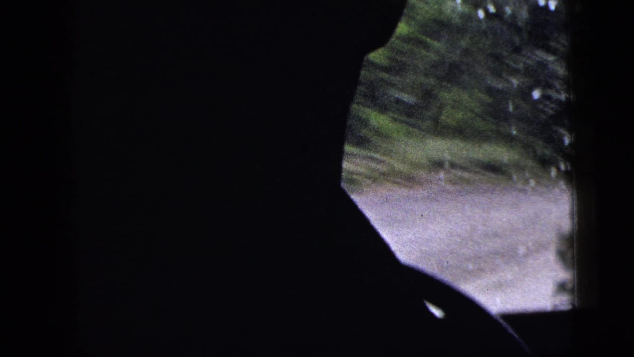 Driver silhouette in a dark car interior with road and greenery visible through the window.
