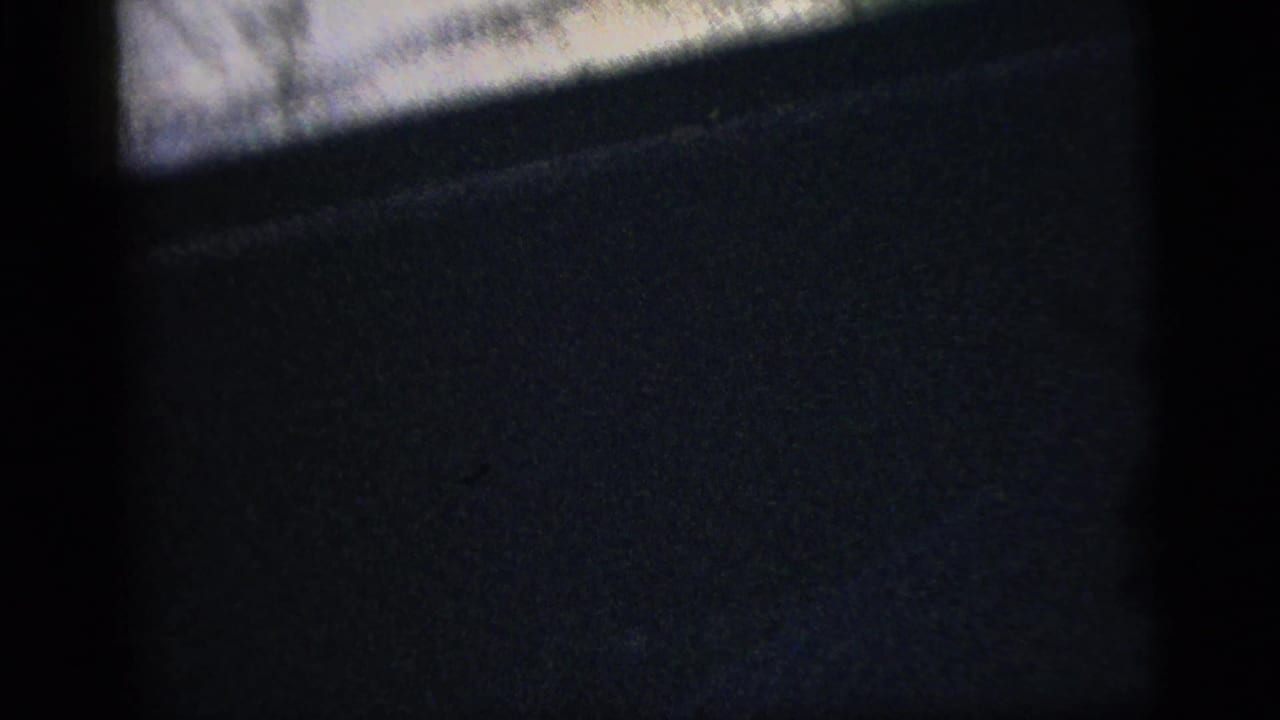 1956 8mm frame from inside the car, with a shadowed interior panel and a side-window glimpse of blurred road and roadside greenery.