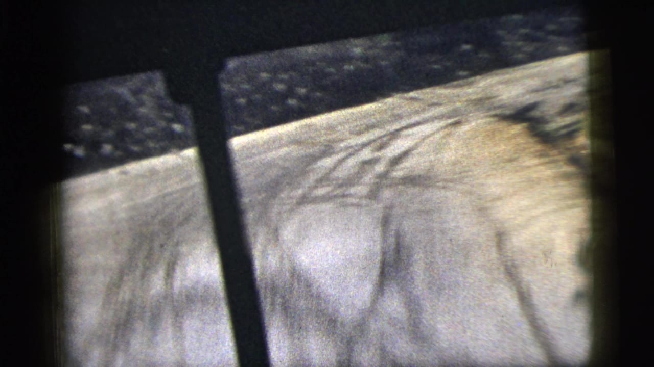 Shaky view of a pale dirt road seen through dark car-window framing.