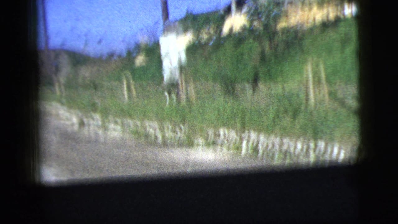 1956 8mm frame with grassy roadside, low stone wall, and blue sky seen from a moving vehicle.