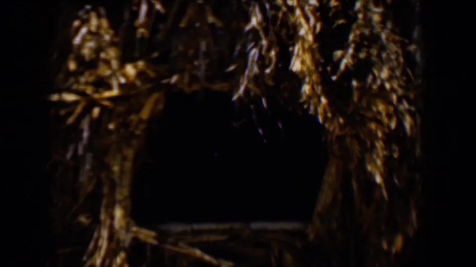 Home-movie view from inside or near a thatched structure, with straw framing a dark central opening in the 1958 Tucson clip.