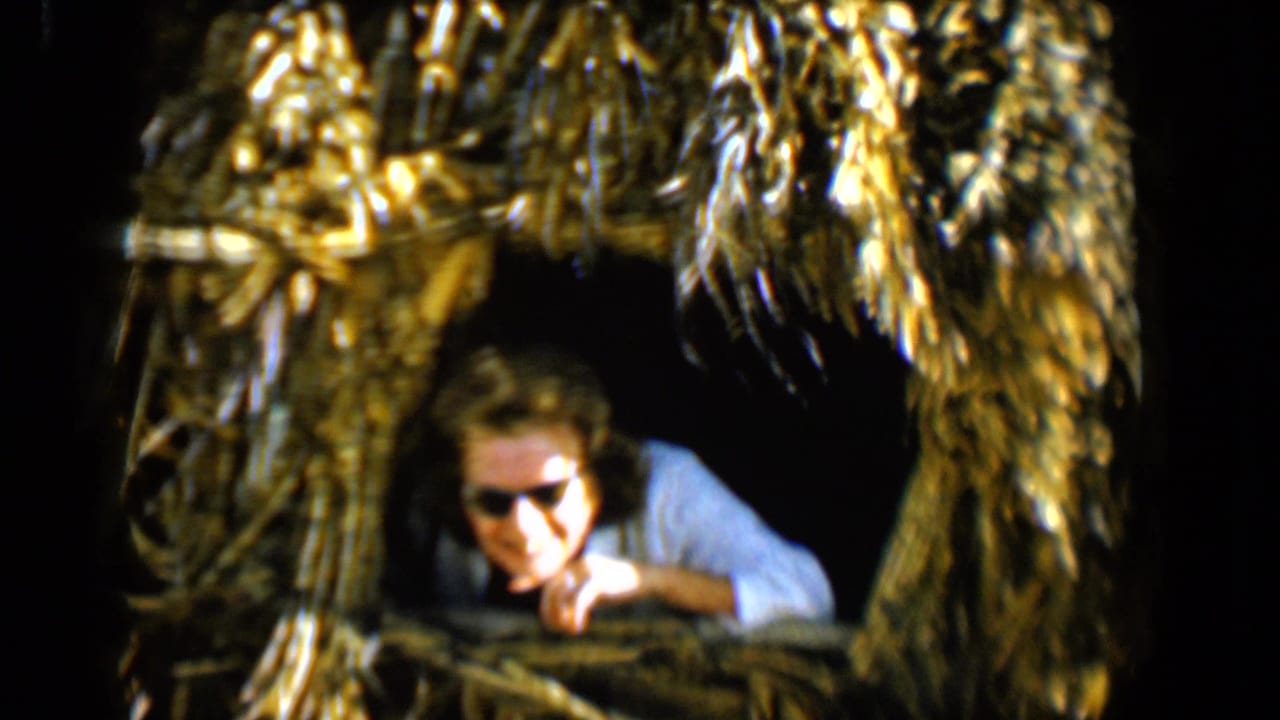 In the Tucson home-movie frame, the woman leans forward in sunglasses at a thatched window with a dark interior behind her.