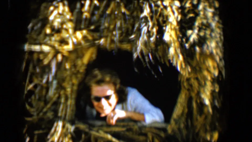 In the Tucson home-movie frame, the woman leans forward in sunglasses at a thatched window with a dark interior behind her.