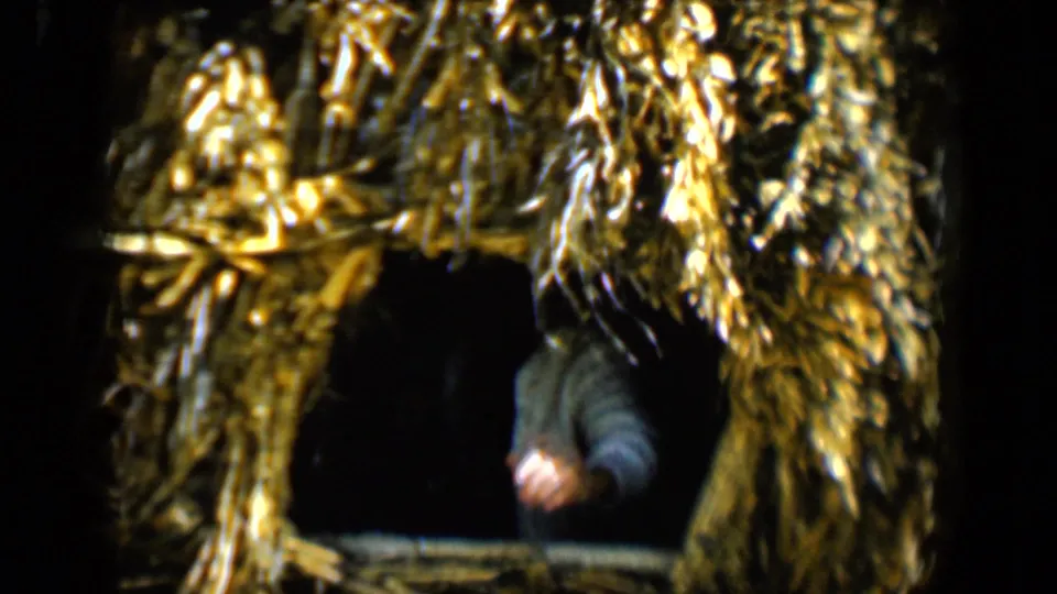The woman is partly obscured as she ducks or moves back into the dark hut opening framed by rough golden straw.