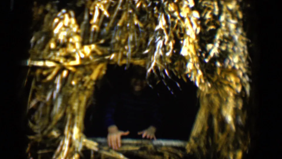 The woman is mostly in shadow, with hands visible on the sill beneath the straw-framed opening in the Tucson 8mm footage.