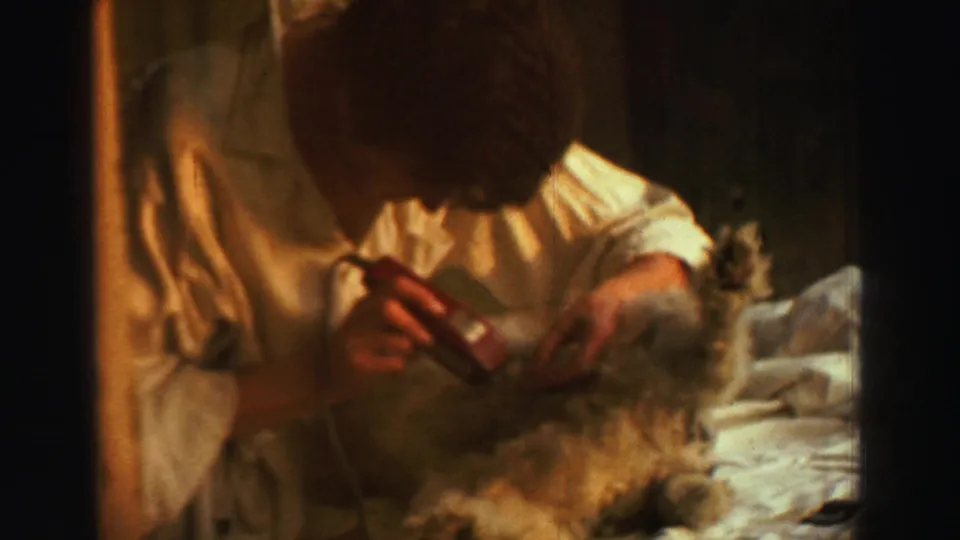 1969 Lake Tahoe home-movie frame of a man leaning over a small furry animal while holding a red-handled tool indoors.