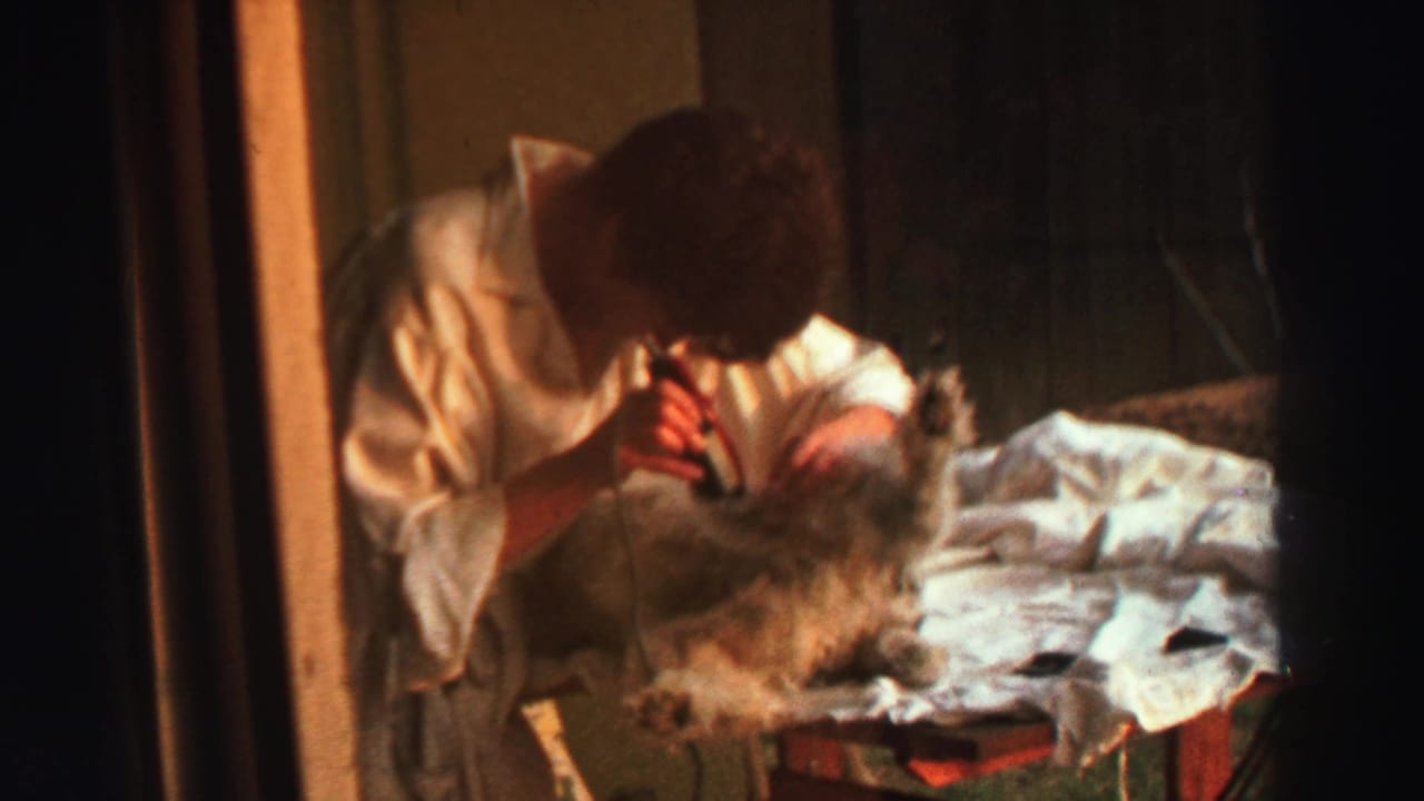 Person in a white shirt grooming a small dog with clippers on a paper-covered table.