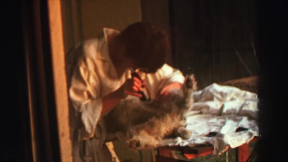 1969 Lake Tahoe home-movie frame showing a person in a white shirt trimming a small dog on a paper-covered table.