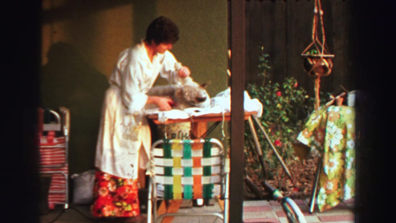 Woman trims a small dog's fur on a table beside a colorful lawn chair and hanging planter.