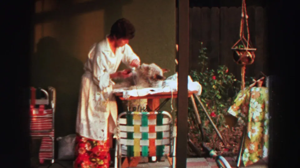 In a backyard setting, a woman continues grooming a fluffy dog on a table in 1969 Lake Tahoe footage.