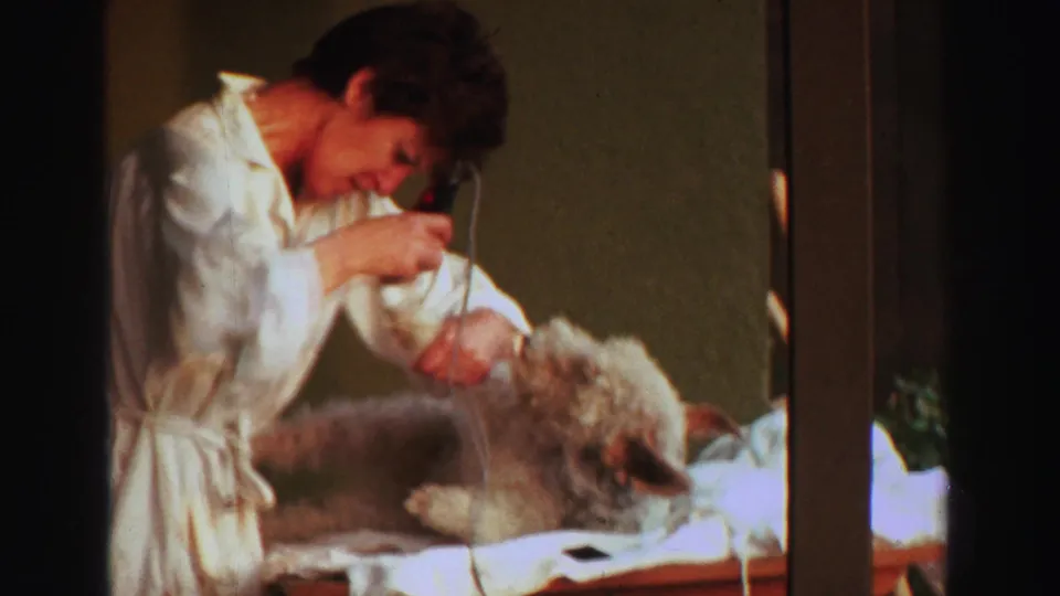 A closer 1969 Lake Tahoe frame shows the woman concentrating as she clips the dog's curly fur on the outdoor table.