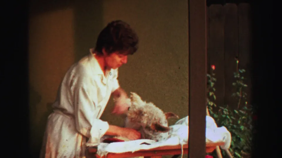 A close home-movie view shows the woman holding clippers as the light-colored dog rests calmly on the backyard table.