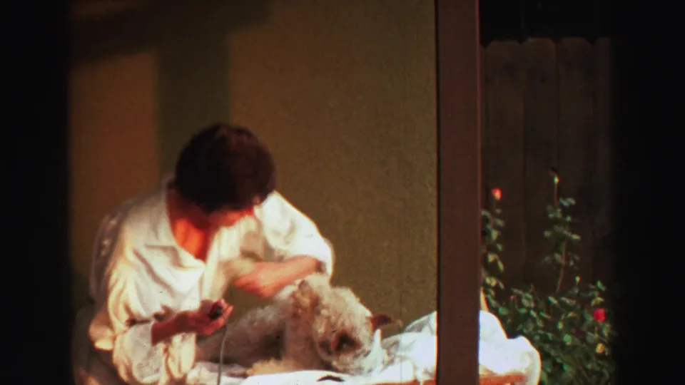 The woman bends close to the dog, continuing a gentle grooming moment in the 1969 Lake Tahoe home-movie clip.
