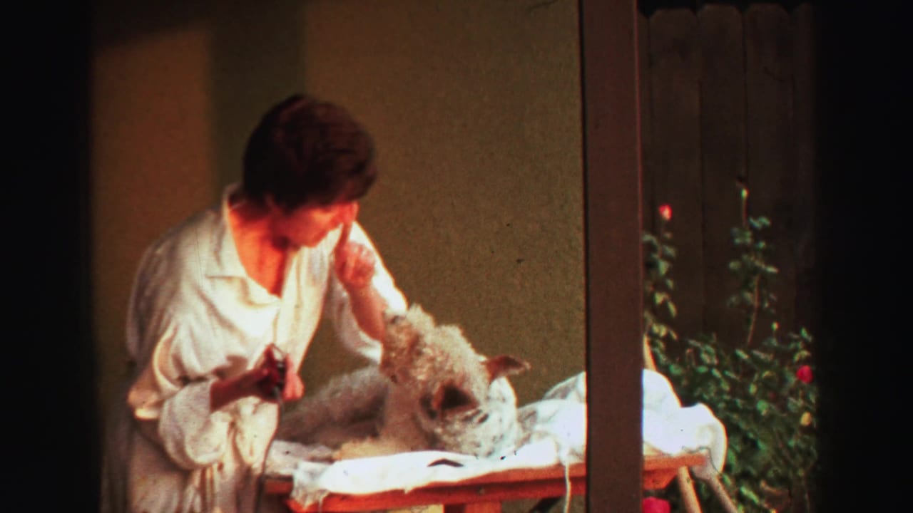 Man holds an electric razor near a small dog lying on a white towel outdoors.