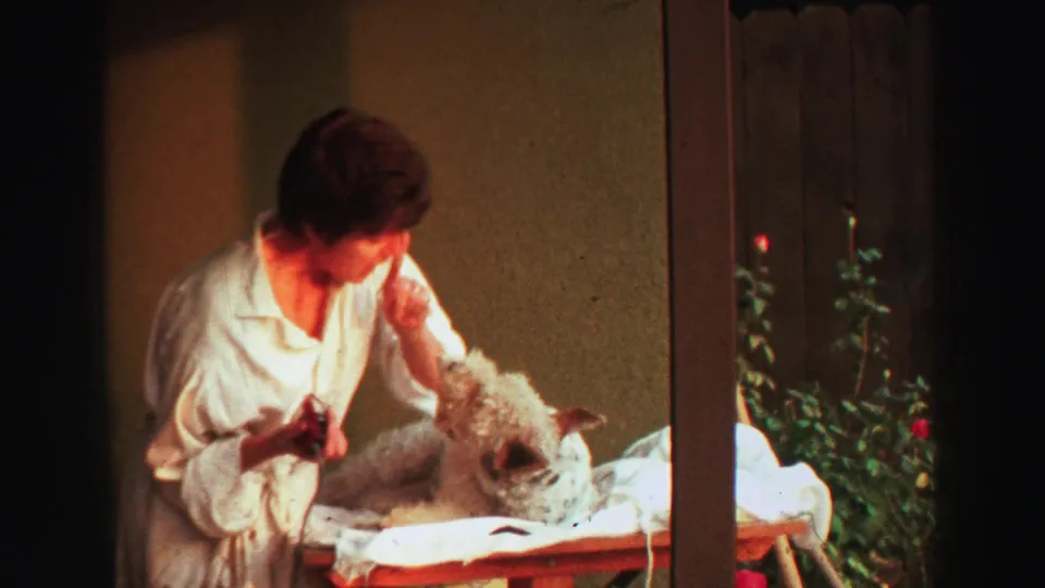 1969 Lake Tahoe frame with a man in a white robe grooming a small dog beside a fence and rose bushes.