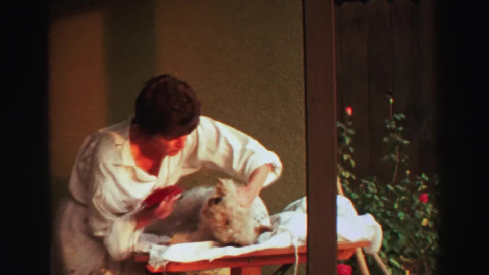 1969 Lake Tahoe home-movie still of a man grooming a small fluffy dog on a towel-covered patio table.