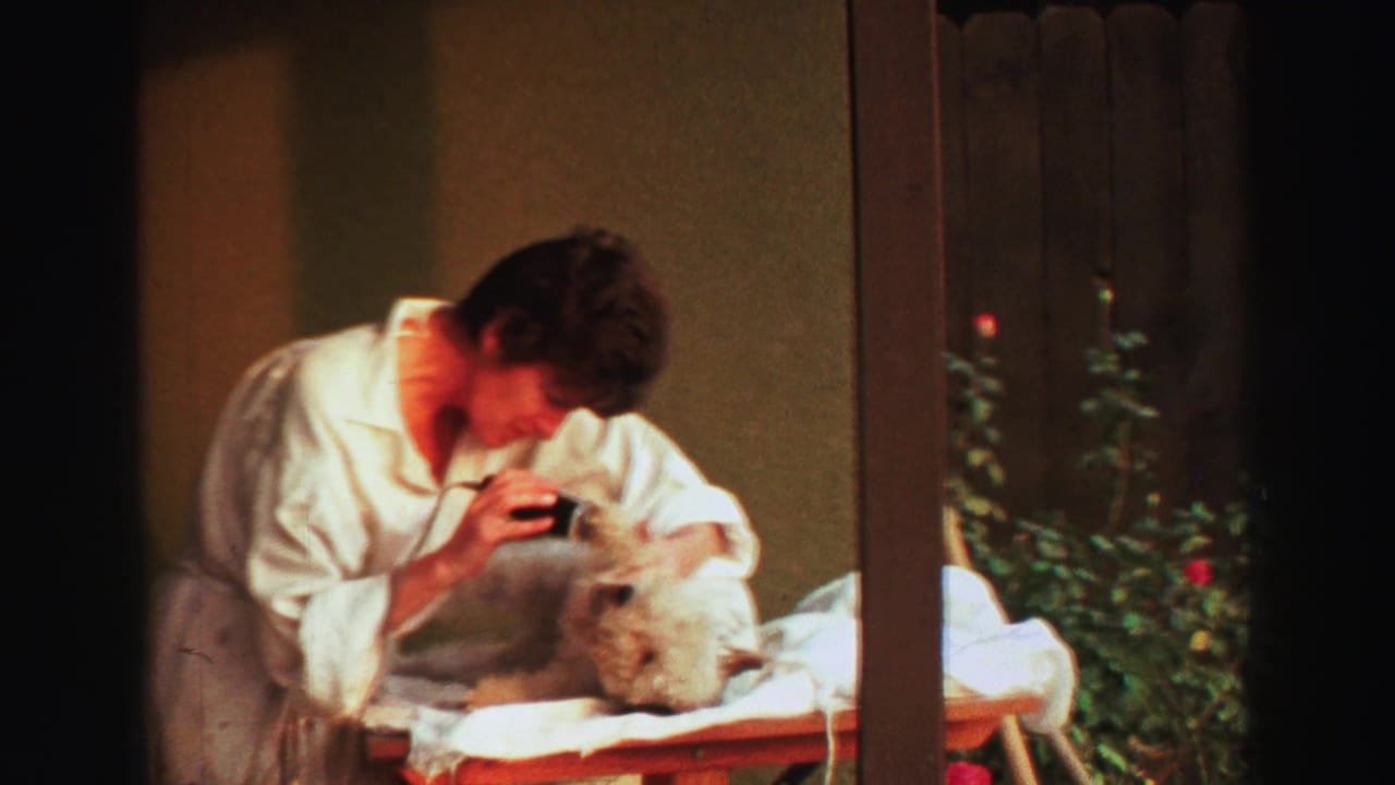 Woman in a white robe grooming a small white dog on a table outdoors.
