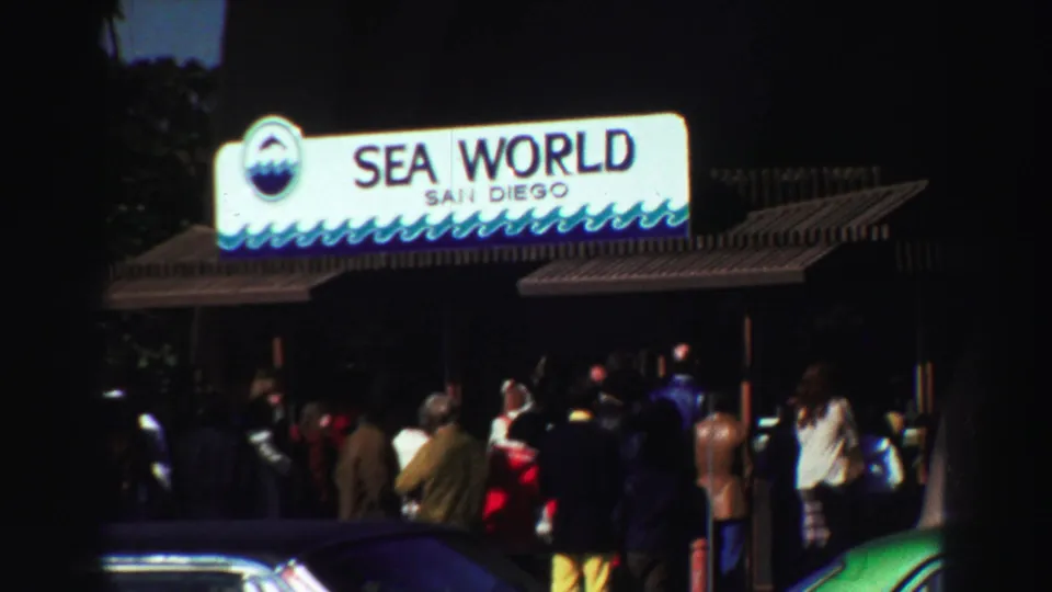 Visitor-shot 1969 frame showing people outside the illuminated Sea World San Diego entrance sign with cars in the foreground.