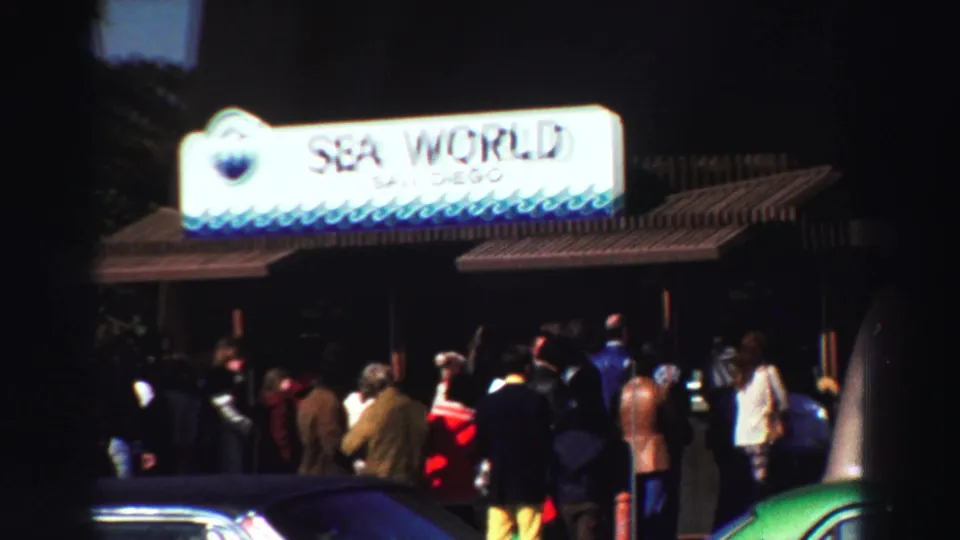1969 8mm frame with the bright Sea World San Diego sign over visitors waiting near vintage cars at night.
