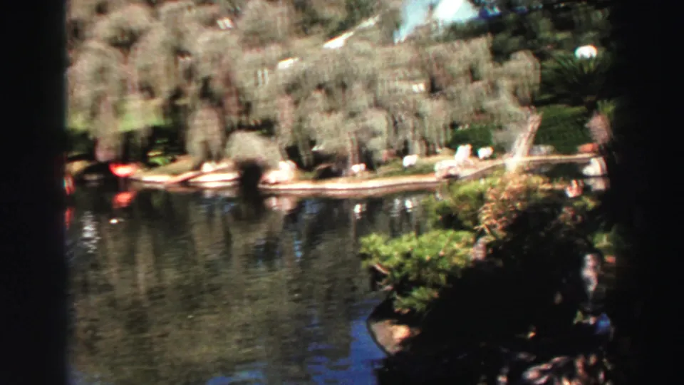 1969 Lake Tahoe home-movie frame of a landscaped pond, distant flamingos, moss-draped trees, shrubs, and visible 8mm frame edge.