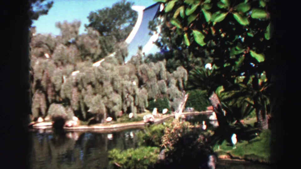 1969 Lake Tahoe frame with lake water, a small bird island, drooping trees, and dark film-gate or foreground edges.