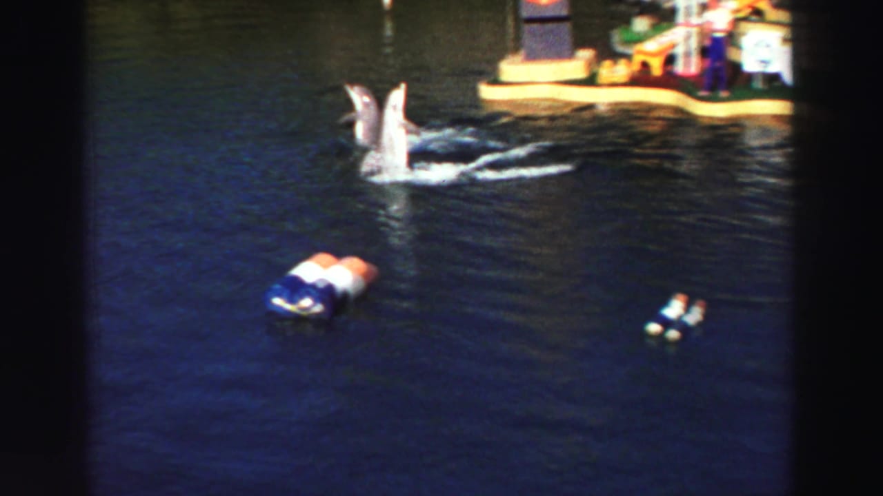 Two dolphins leap from dark blue lake water near floating buoys and a small platform.