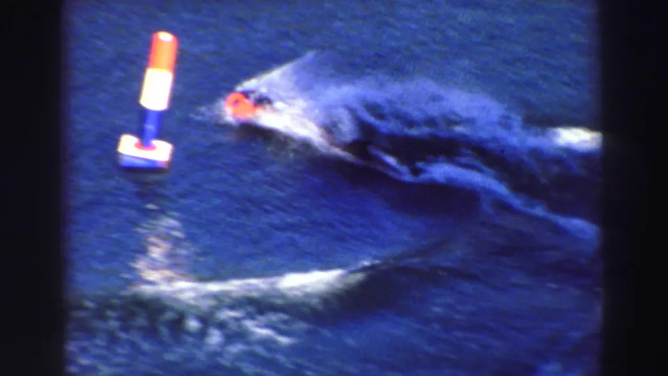 1969 Lake Tahoe home-movie frame showing a red-capped water skier cutting across deep blue water near a buoy.