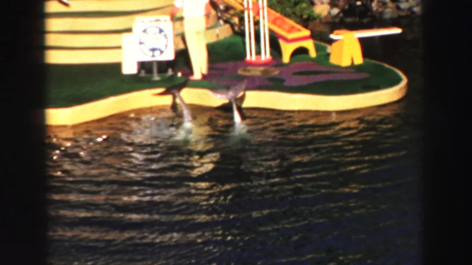 Lake Tahoe 1969 frame of two dolphins near a curved platform with yellow seating and a standing performer visible above them.