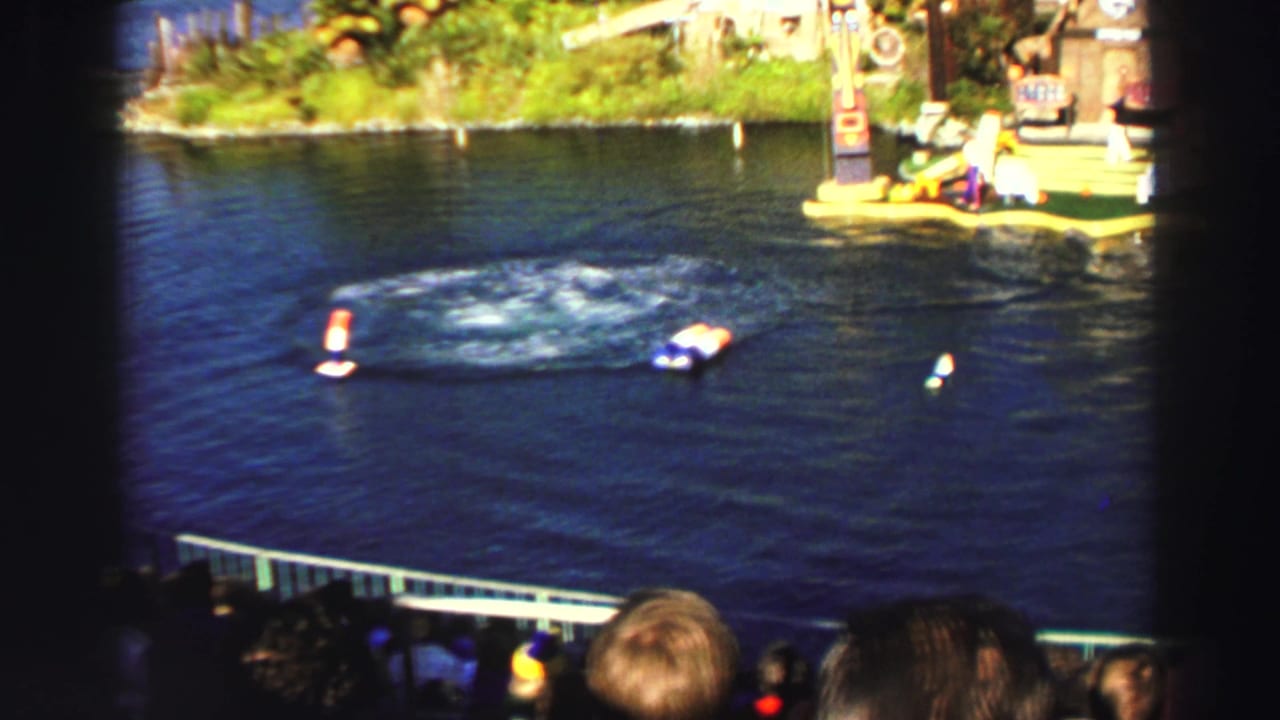 Outdoor dolphin show pool with floating markers, trainer platform, and spectators at the bottom edge.