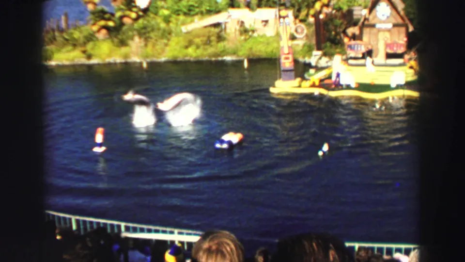 1969 Lake Tahoe frame capturing a dolphin arcing out of the water during an outdoor show as visitors watch from the foreground.