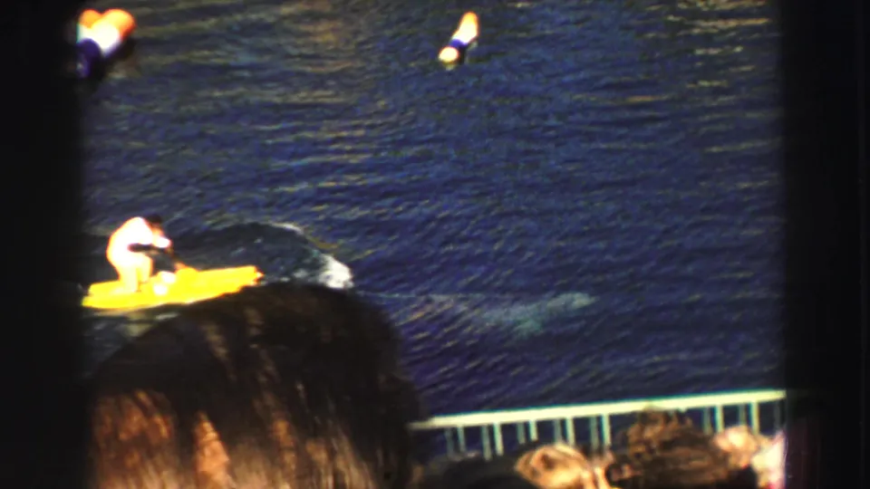 Spectator-shot 1969 Lake Tahoe view of a rider on a yellow floating board as a dolphin swims nearby in dark blue water.