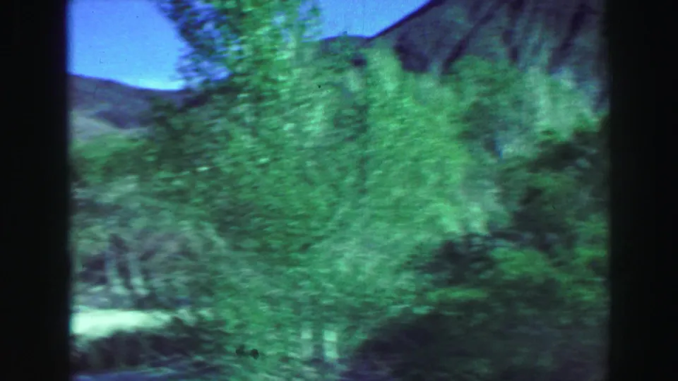 Final 8mm frame shifts from desert highway views to blurred green trees and hillside, suggesting changing terrain.