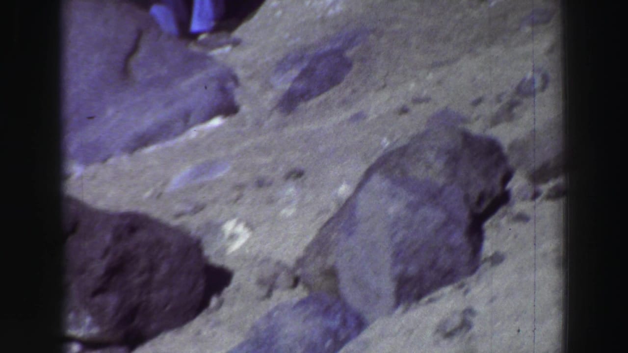 Rocky ground with large dark boulders and partial legs at the top edge.