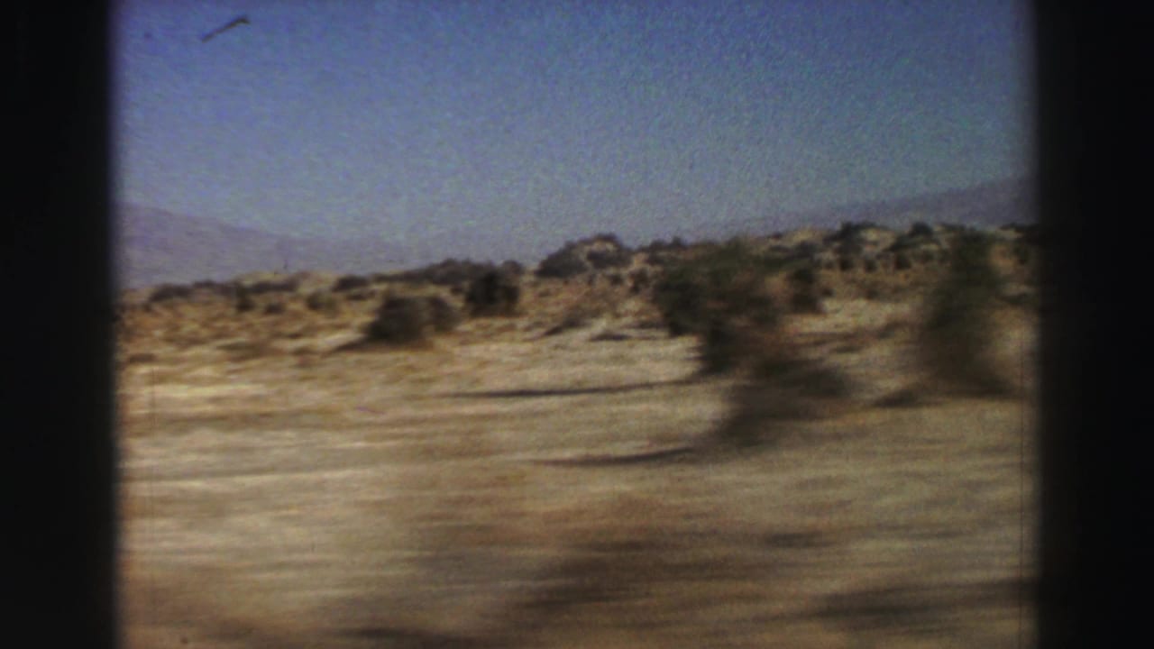 Blurred scrubland and dry roadside seen through a dark car-window frame.
