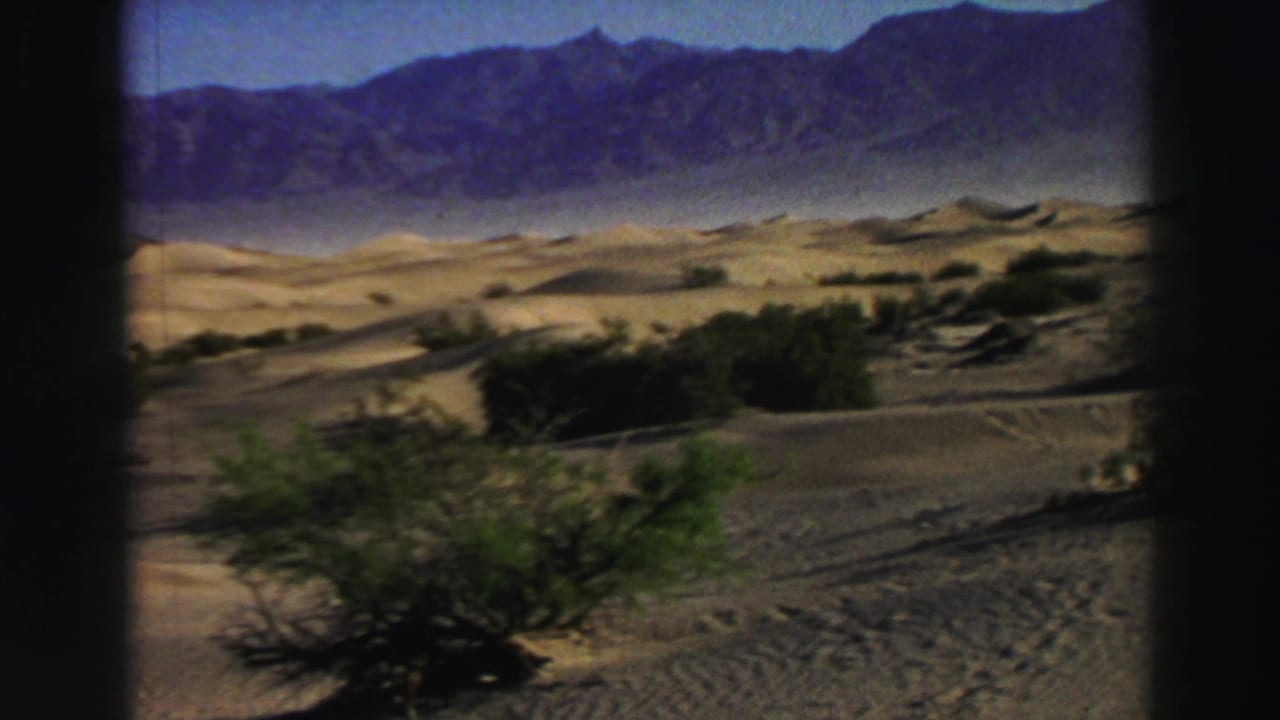Desert shrubs in front of low dunes and a rugged mountain range beneath clear sky.